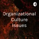 Organizational Culture Issues