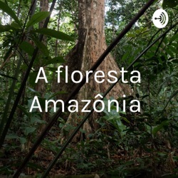 A floresta Amazônia 