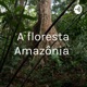 A floresta Amazônia 