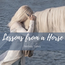 Lessons from a Horse