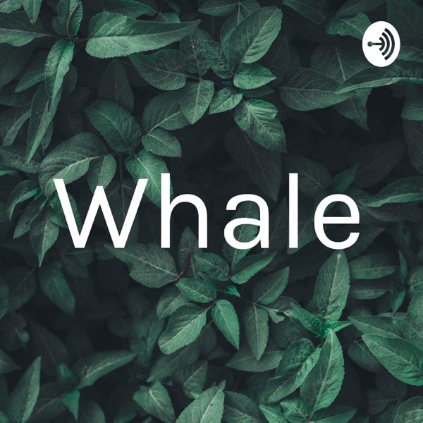 Whale
