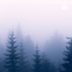 They Tried To Kill Me: I Survived To Warn You