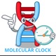 Molecular Clock