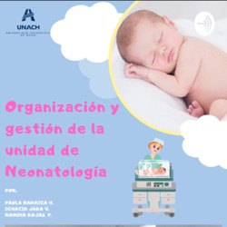 Organización y gestión de la unidad de Neonatología 