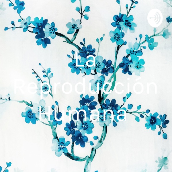 La Reproducción Humana