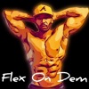 Flex On Dem artwork