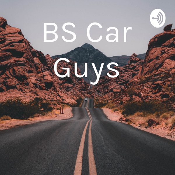 BS Car Guys