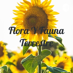 Flora Y Fauna Terrestre