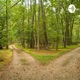 Robert Frost Project 