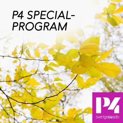 P4 specialprogram P4 specialprogram