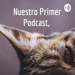 Nuestro Primer Podcast, 😂🤣😂