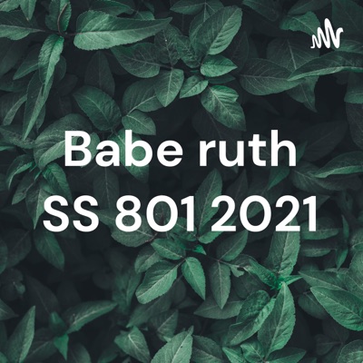 Babe ruth SS 801 2021