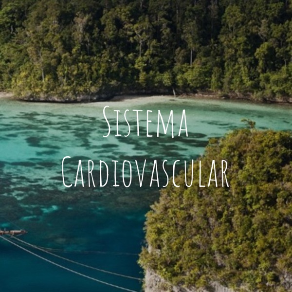 Sistema Cardiovascular