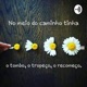 Conta Contos