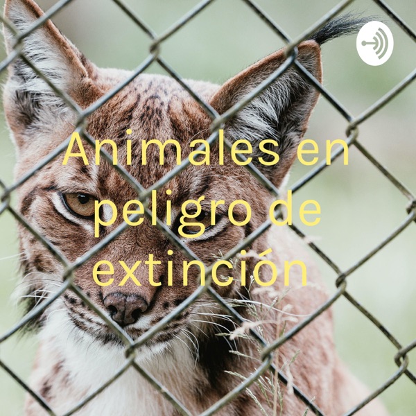Animales en peligro de extinción