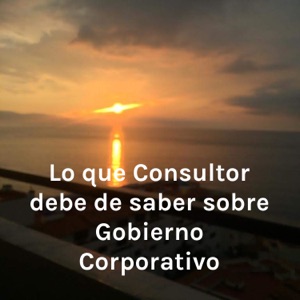 Lo que el Consultor debe de saber sobre Gobierno Corporativo