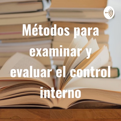MÉTODOS PARA EXAMINAR Y EVALUAR EL CONTROL INTERNO