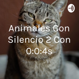 Animales Con Silencio 2 Con 0:0:4s
