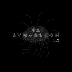 Na Synapsach 