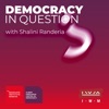 Democracy in Question? artwork