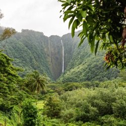 Teen Life In Hawaii