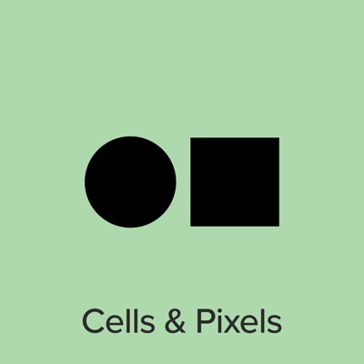 Cells and Pixels:Koji Pereira