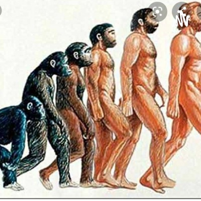 Evolución Del Hombre