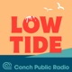 Low Tide - From Conch Public Radio