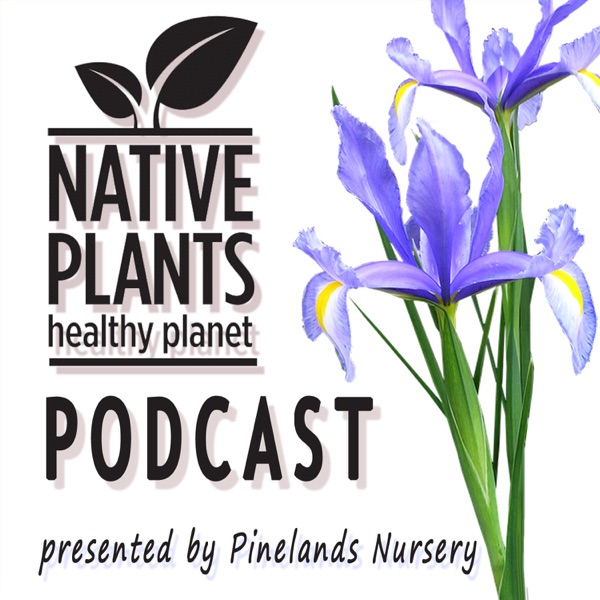 Native Plants, Healthy Planet presented by Pinelands Nursery Artwork