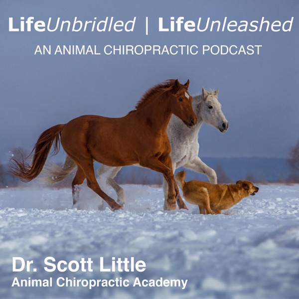 LifeUnbridled | LifeUnleashed: An Animal Chiropractic Podcast