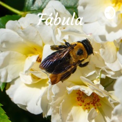 Fábula : El Oso Y Las Abejas