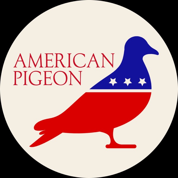 American Pigeon Artwork