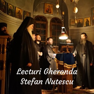 Lecturi Gheronda Stefan Nutescu - Chilia Buna Vestire