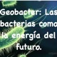 Geobacter: Las bacterias como la energia del futuro.