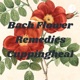 Case History Fear, Envy and Doubt - 27 Bach Flower Remedy By Dr Atish Anand. Cuppingheal
