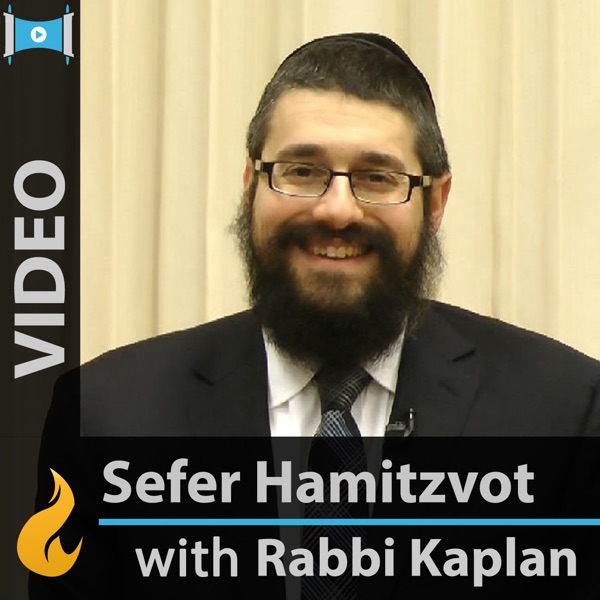 Daily Mitzvah (Video) - by Mendel Kaplan Artwork