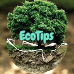 EcoTips