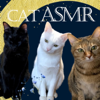 Cat ASMR【eating,purring,grooming】 - Takayuki Kariu