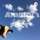 Animal fact 