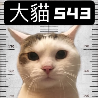 大貓543