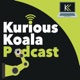 Kurious Koala Podcast