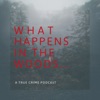 What Happens in the Woods artwork