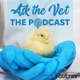 Ask the Vet