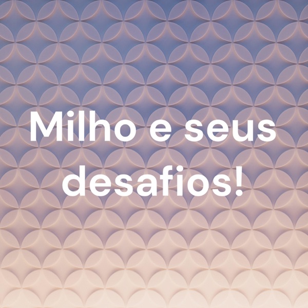Milho e seus desafios!