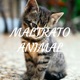 MALTRATO ANIMAL