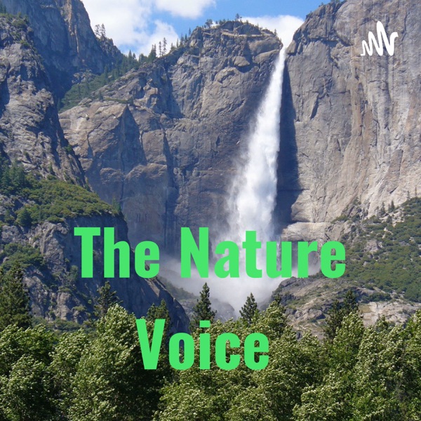 The Nature Voice 
