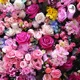 A6_SARN