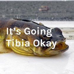 It's Going Tibia Okay
