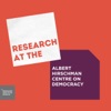 Research at the Albert Hirschman Centre on Democracy artwork