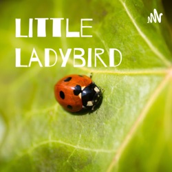 Little Ladybird